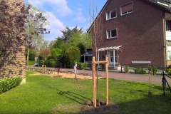 abi-wald_20220602_1493688147