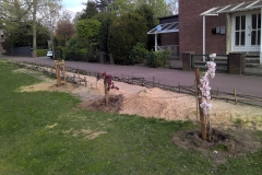 abi-wald_20220602_1977248632