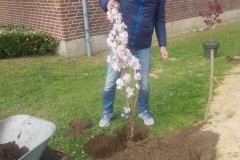 baum1_20220531_1290611131