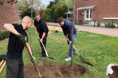 baum1_20220531_1423936280