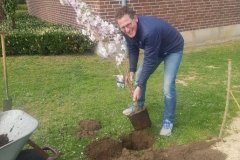 baum1_20220531_1930031188