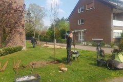 baum1_20220531_2048291518